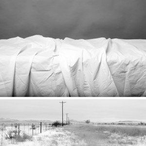 Tremaine_Self-portrait 11